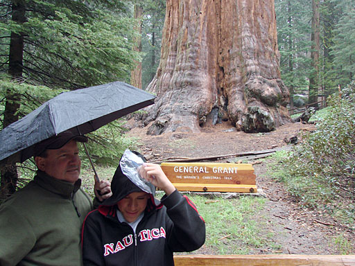 27 - King's Canyon NP, world's second largest tree