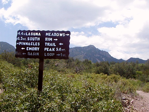 20 - In Big Bend, I did a loop hike to the South Rim