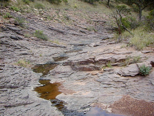 27 - Flowing upper Boot Creek