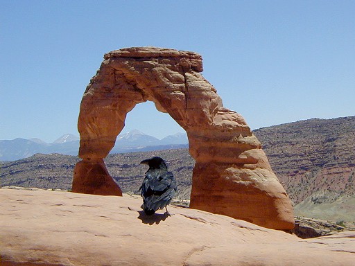 10 - Delicate Arch