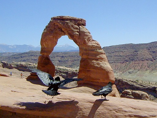 11 - Delicate Arch