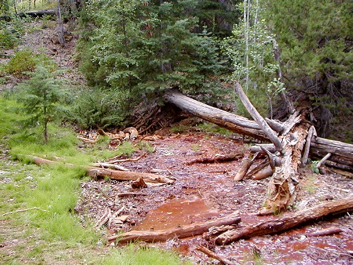 34 - Disgusting Iron Spring water source