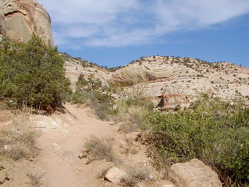 40 - Escalante Area - Easy trail to Lower Calf Creek Falls