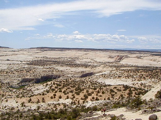 43 - Short but steep slickrock trail to Upper Calf Creek Falls