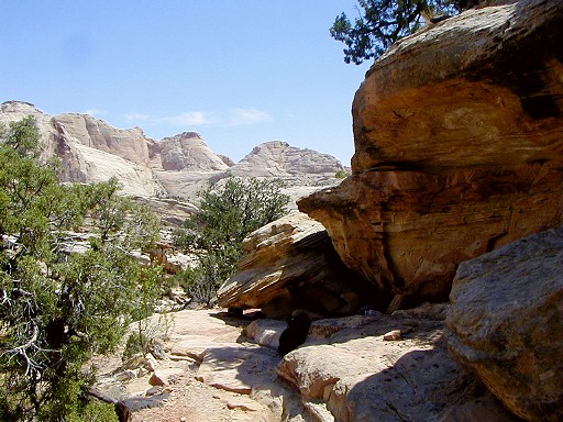 57 - Then Hwy 24 and Cohab Canyon Trail to complete the loop