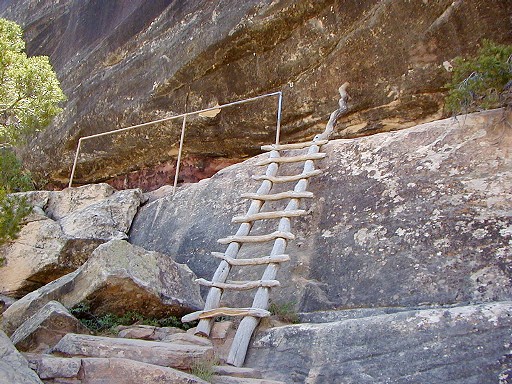 58 - Natural Bridges NM - Ladder on trail to Sipapu Natural Bridge