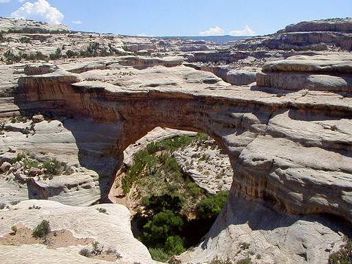 59 - Sipapu Natural Bridge