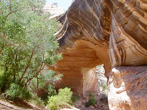 63 - Kachina Natural Bridge