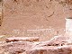 64 - Ancient rock art