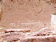 64 - Ancient rock art