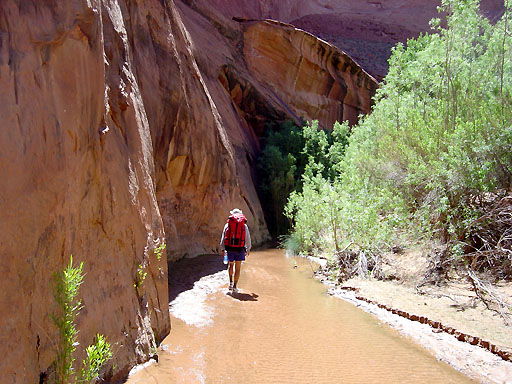 41 - Hiking through the water