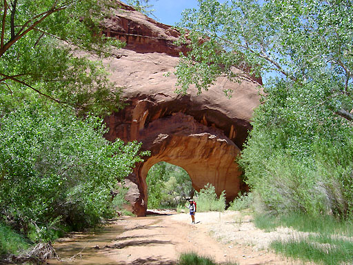 46 - Coyote Natural Bridge