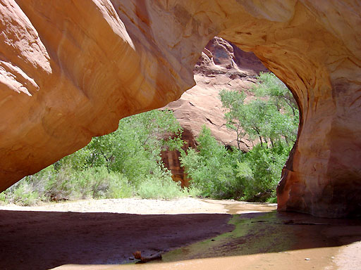 47 - Coyote Natural Bridge