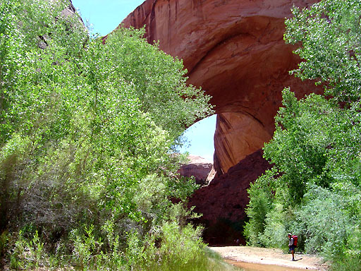 56 - Jacob Hamlin (Lobo) Arch