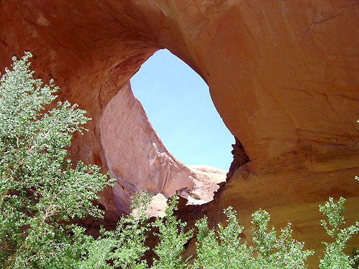 57 - Jacob Hamlin (Lobo) Arch