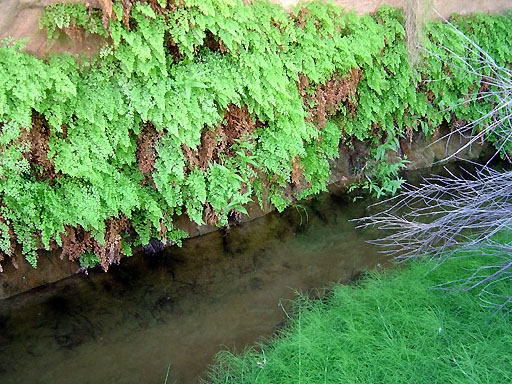 64 - Side canyon with deep pool