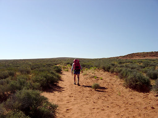 86 - Jeep road