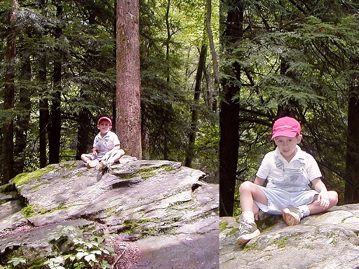 03 - Will climbing a big rock