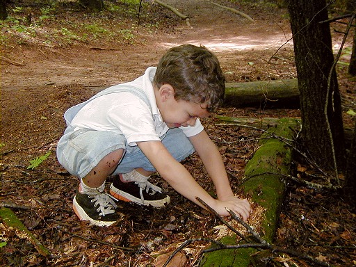 06 - Playing with rotting wood