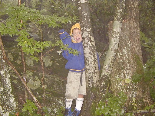 11 - Day 2 - The trail up Brasstown Bald