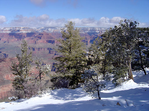 11 - Two inches of snow overnight