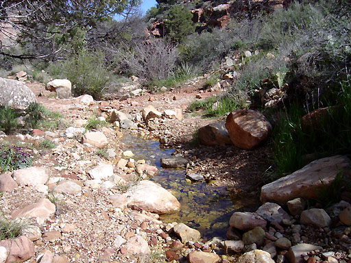 13 - Flowing upper Hermit Creek