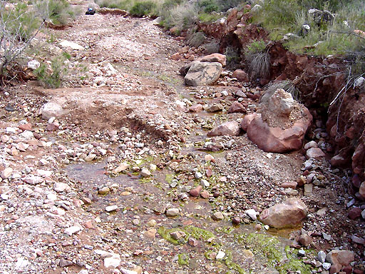 67 - Flowing Cremation Creek