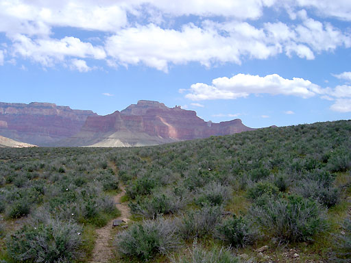 68 - Green Tonto Plateau