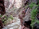 52 - North Kaibab trail