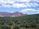 68 - Green Tonto Plateau