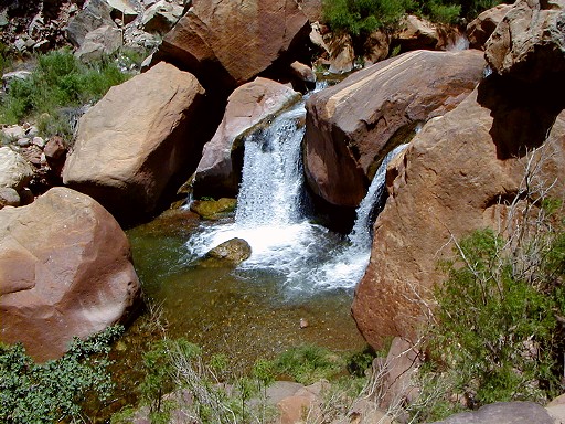 93 - Bright Angel Creek swiming hole