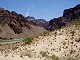 40 - Sand dunes on the River Trail