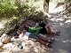 51 - Hikers resting