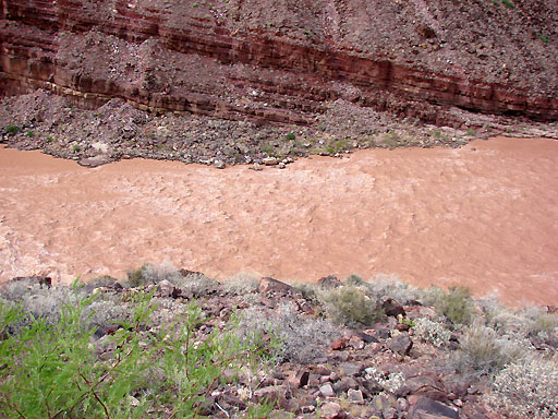 37 - Brown Colorado River