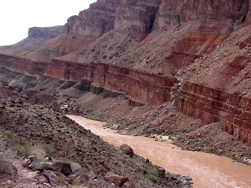 39 - Brown Colorado River