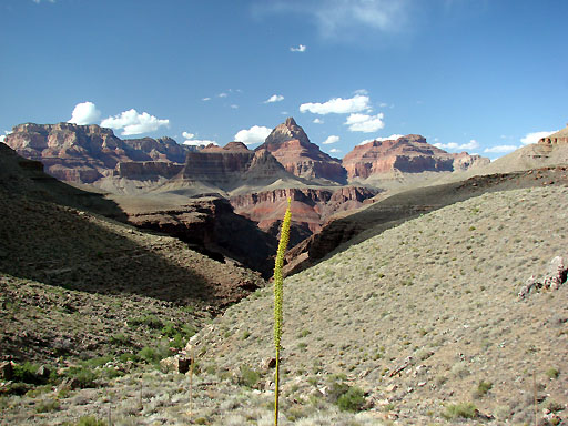 53 - Ascending to East Horseshoe Mesa