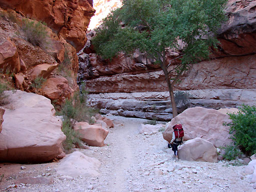 11 - Havasu Trail