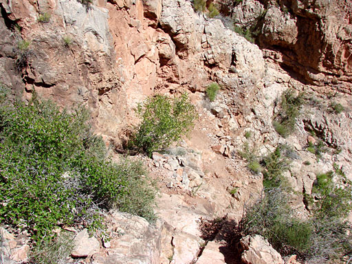 17 - Ascending the East Mesa Trail