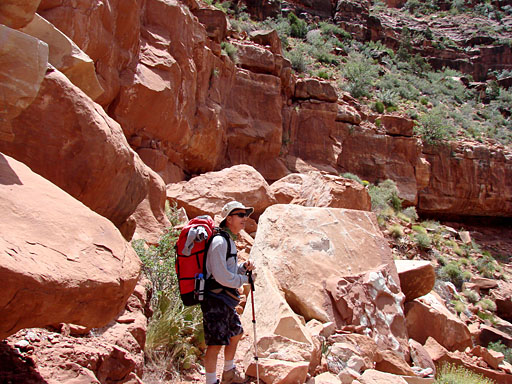 45 - Rockfall over the trail