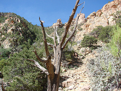 00 - Descending the rough Tanner Trail