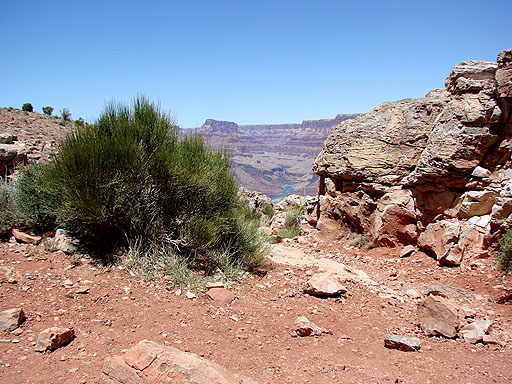 31 - Hot ascent of the Tanner Trail