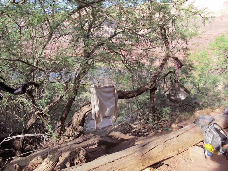 12 - Tanner Beach campsite