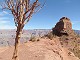 00 - Day hike down S Kaibab Trail