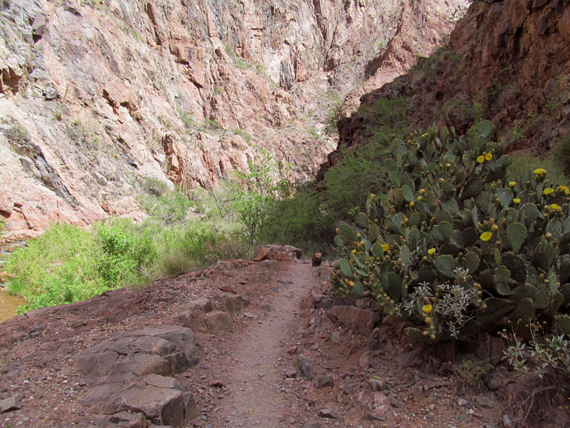 06 - Up North Kaibab