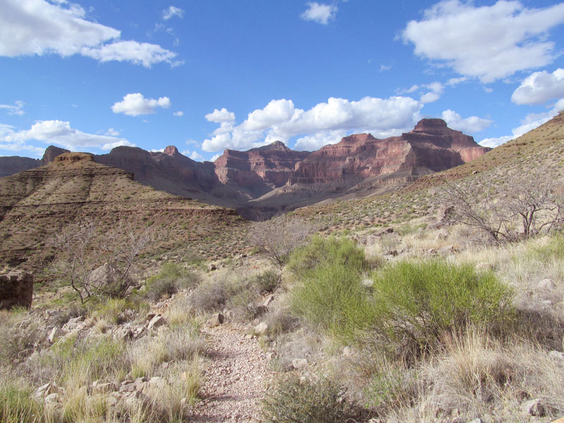 38 - Tonto section