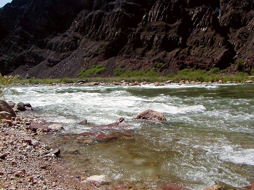 06 - Tanner Rapids