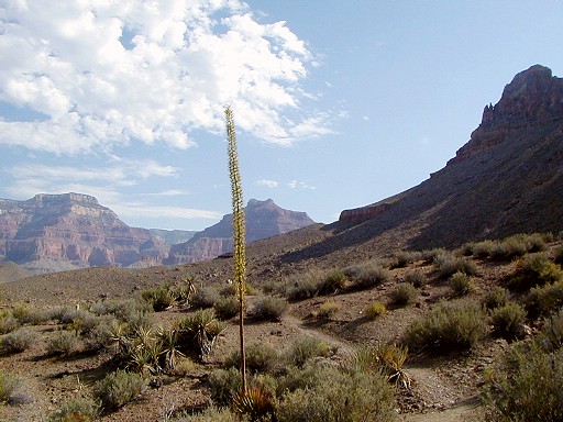 12 - Typical Tonto Trail