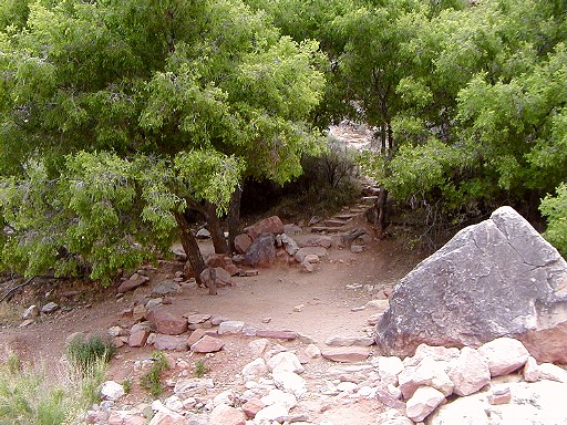 16 - Pretty Horn Creek campsite