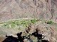 28 - Phantom Ranch from above