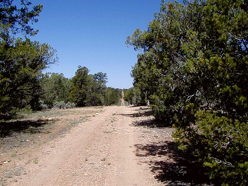 03 - East on Old Pasture Wash Road